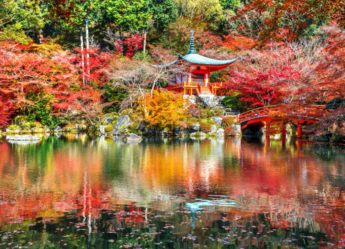  אף אחד לא מושלם, וזה מושלם: הכירו את ואבי-סאבי
